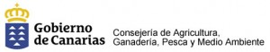 gobierno-de-canarias31