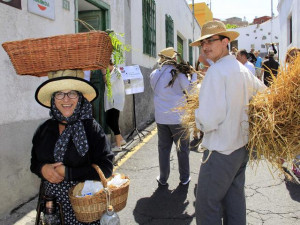 labores_del_campo