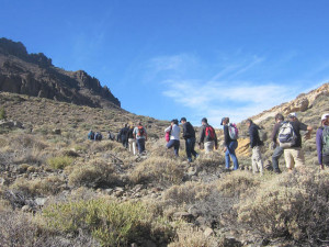 caminata_ruta_los_tarajales