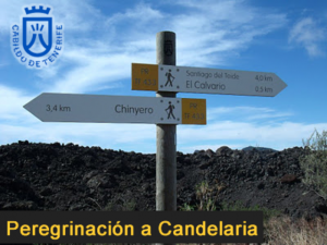 cartel_peregirnacion_candelaria