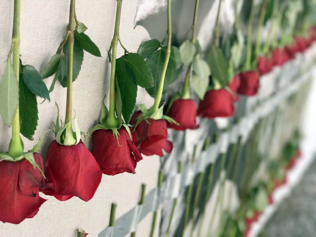 'Una rosa para Guía de Isora' de Fernando Álamo.