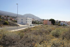 Calle Norte con el único edificio construido y la calle urbanizada por el Ayuntamiento