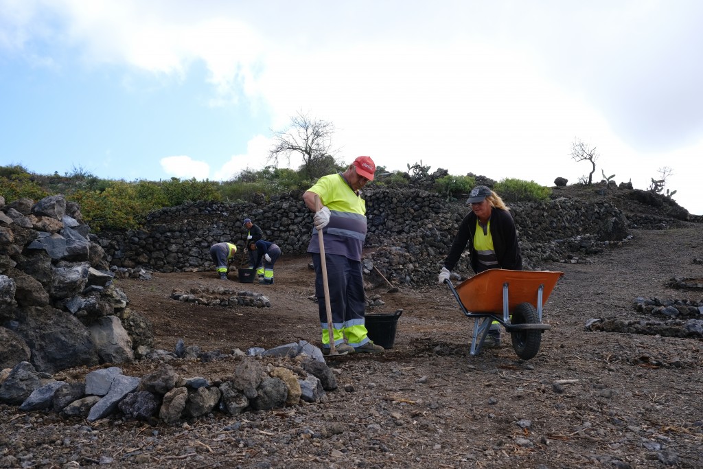 Trabajadores del convenio ZRD en el desarrollo de un sumidero de carbono con más de 200 almendros