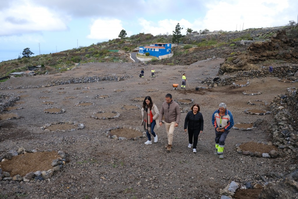 Guía de Isora desarrolla un sumidero de carbono que contará con más de 200 almendros