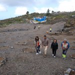 Guía de Isora desarrolla un sumidero de carbono que contará con más de 200 almendros